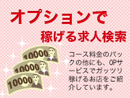 オプションで高収入の求人